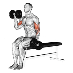 Alternating Dumbbell Curl